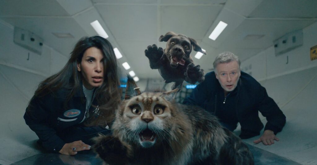 Chien & Chat - ©Mandarin et Compagnie - La Station animation - Gaumont - TF1 Films Production - Canin et Félin