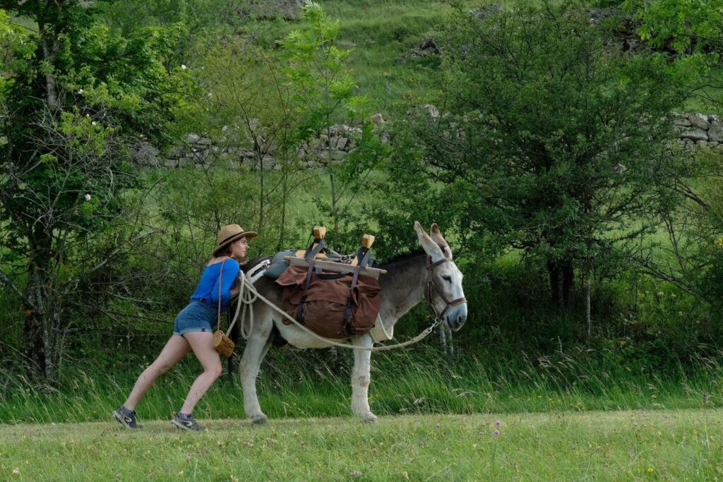 Laure Calamy dans Antoinette dans les Cévennes