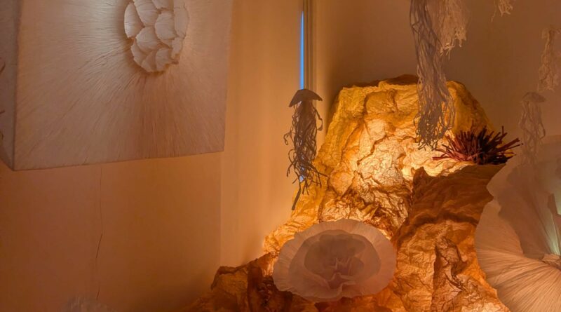 Expo L'Odyssée de Léa